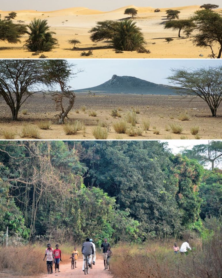 De Sahel (foto midden) is een brede overgangszone tussen de Sahara in het noorden (foto boven) en tropische bossen 1000 km verder naar het zuiden (onderste foto). De zone sterkt zich uit van Senegal in het westen tot Ethiopië in het oosten, een afstand van 6000 km
