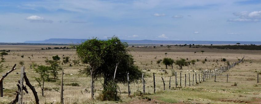 Fence Greater Mara
