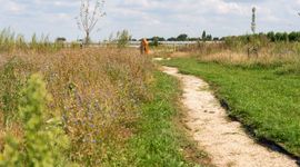 Perceel Joeri en Angela van Dongen (Oosteind) - Bloemenblok, met hoogstamfruitboomgaard en Bijenhotel
