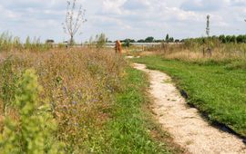 Iris de Baat, ASEGA Perceel Joeri en Angela van Dongen (Oosteind) - Bloemenblok, met hoogstamfruitboomgaard en Bijenhotel