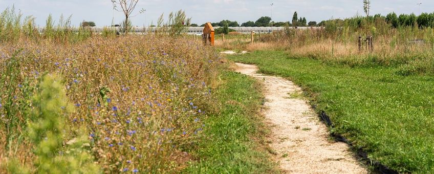 Perceel Joeri en Angela van Dongen (Oosteind) - Bloemenblok, met hoogstamfruitboomgaard en Bijenhotel