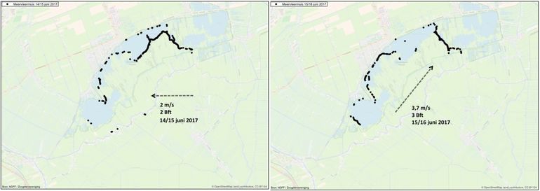 Meervleermuizen jagen doorgaans boven grotere wateren. Dit doen ze het liefst in de luwte, zoals duidelijk naar voren komt als ook windrichting en –sterkte worden bekeken.