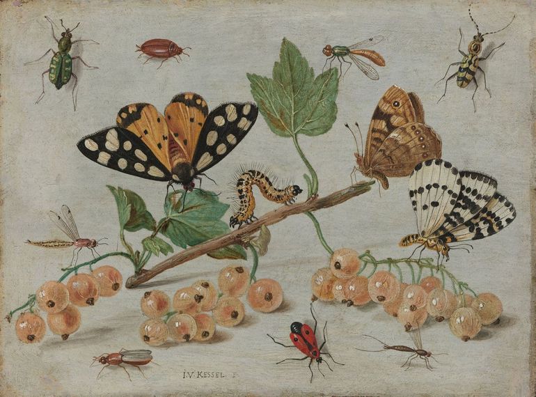 Stilleven van kruisbessen, vlinder, mot, juffervlieg ea, 1659