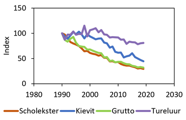 Aantalsontwikkeling van vier weidevogelsoorten