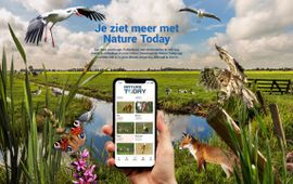 Nature Today app