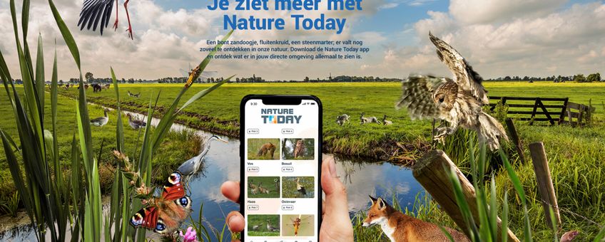 Nature Today app
