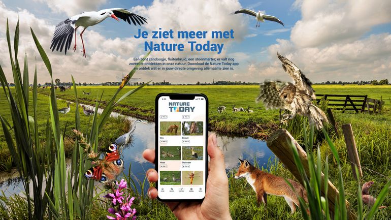 Ontdek de planten en dieren in je eigen omgeving op NatureToday.nl