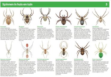 Met de spinnenzoekkaart kun je tijdens de tuintelling de meeste spinnensoorten op naam brengen. Daarnaast kun je op de website www.tuintelling.nl hulp bij determinatie krijgen. Klik op de zoekkaart om hem te downloaden (pdf; 4,0 MB)