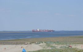 LimoWreck, GFD-licentie Westerschelde bij Hoofdplaat