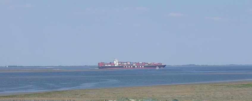 Westerschelde bij Hoofdplaat