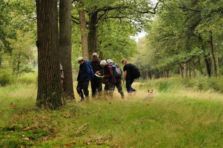 Bosmeetnet-excursie