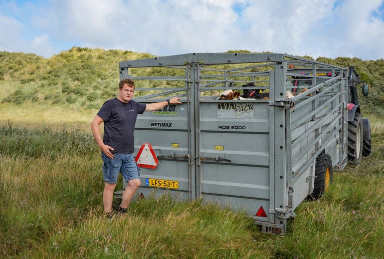 Boer Corné Zorgdrager met zijn koeien