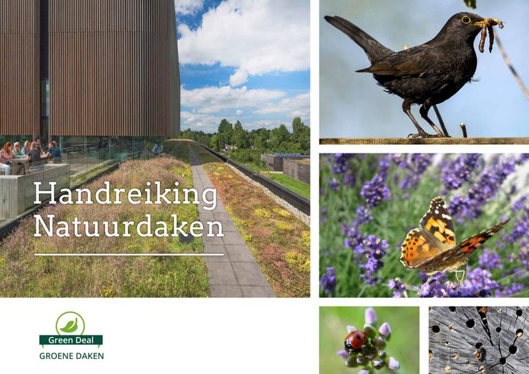 Cover 'Handreiking Natuurdaken' 