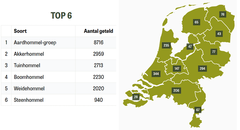 Hommeltuintelling 2026: getelde aantallen exemplaren per hommelsoort en aantal tellingen per provincie