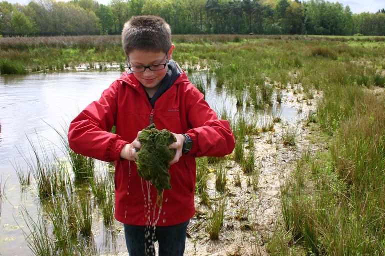 Veldles in het Kempen~Broek. Beleving staat voorop en de opdrachten geven vorm aan de kennis die kinderen opdoen