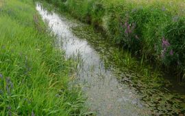 Een traject van de beheerproef in de Raamsloop