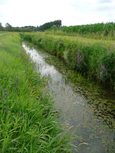 Een traject van de beheerproef in de Raamsloop