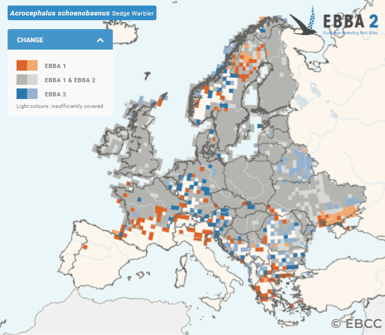 Veranderingskaart van de rietzanger in Europa op basis van gegevens uit de eerste (gegevens verzameld vanaf 1970 en gepubliceerd in 1997, EBBA 1) en tweede Europese broedvogelatlas (gegevens verzameld tussen 2013-2017, EBBA 2). Oranje hokken geven aan waar de soort is verdwenen en blauwe hokken waar deze is verschenen