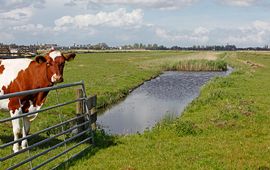Jelger Herder Boerennatuur