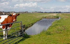 Boerennatuur