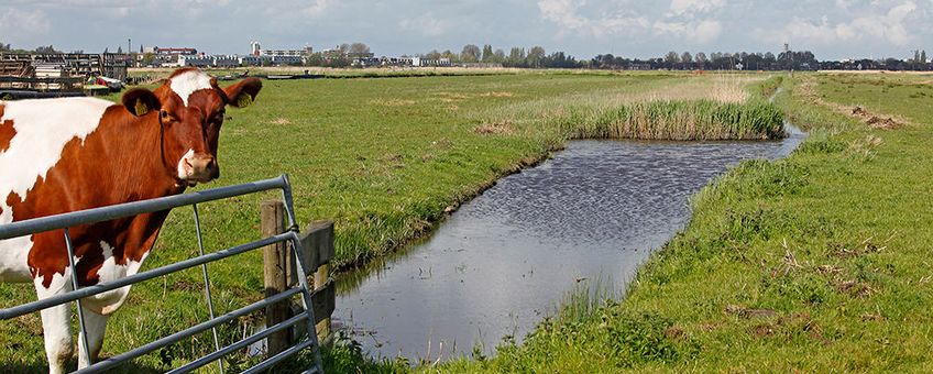 Boerennatuur