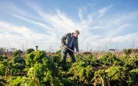 boerenkool-groeit-naast-de-voetbalvelden-foto-door-angeline-swinkels