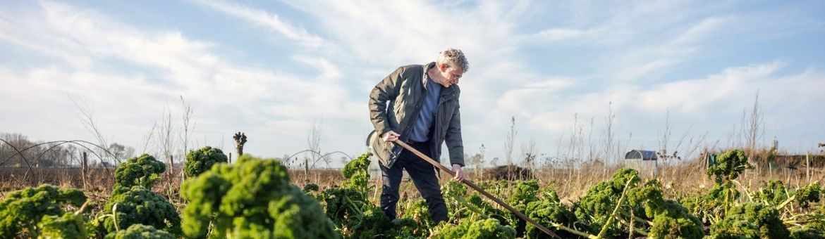 boerenkool-groeit-naast-de-voetbalvelden-foto-door-angeline-swinkels