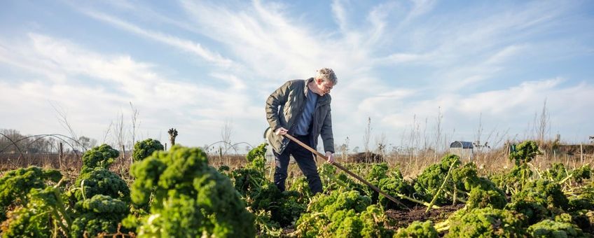 boerenkool-groeit-naast-de-voetbalvelden-foto-door-angeline-swinkels