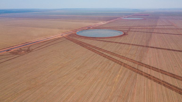 Natuurvernietiging in de Cerrado