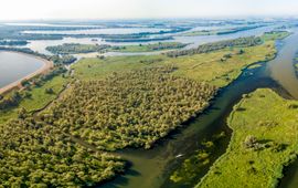 6.	De Biesbosch is het grootste zoetwatergetijden gebied van Europa