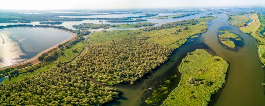 6. De Biesbosch is het grootste zoetwatergetijden gebied van Europa