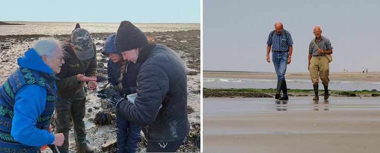 Citizen science-projecten: litoraalonderzoek, of LIMP en aanspoelselmonitoring, of SMP