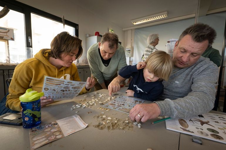 Na het verzamelen van 100 schelpen breng je ze op naam. Dat gebeurde dit jaar vooral binnen, zoals hier bij Natuurcentrum Katwijk