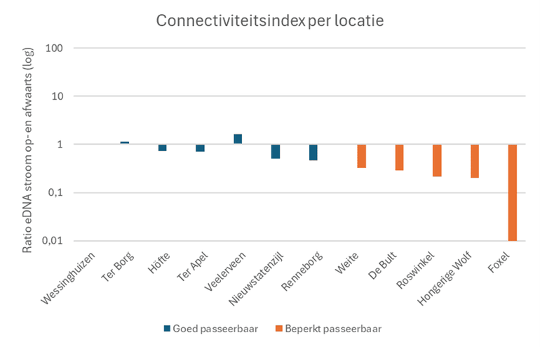 Connectiviteitsindex: Gemiddelde ratio tussen eDNA-concentraties stroomopwaarts en stroomafwaarts van stuwen en gemalen op basis van voorjaars- en najaarsmetingen. Locaties zijn van links naar rechts gerangschikt op afnemende connectiviteitsindex. Bij een index lager dan 1 is er sprake van verminderde passeerbaarheid in stroomopwaartse richting, bij een index hoger of gelijk aan 1 is er geen sprake van verminderde passeerbaarheid in stroomopwaartse richting