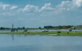 Hoog water rivieren, dieren zoeken hogere delen op