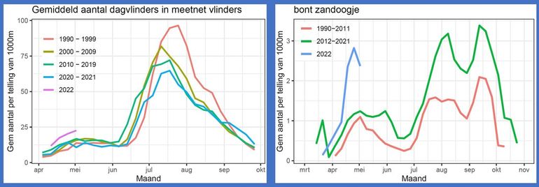 Het gemiddeld aantal vlinders in de routes van het meetnet vlinders. Links alle soorten, rechts bont zandoogje