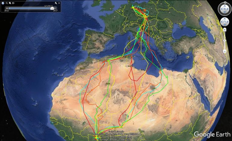Vijf jaar migratietracks van Astrid: geel 2012/13, oranje 2013/14, rood 2014/15, groen 2015/16, blauw 2016/17