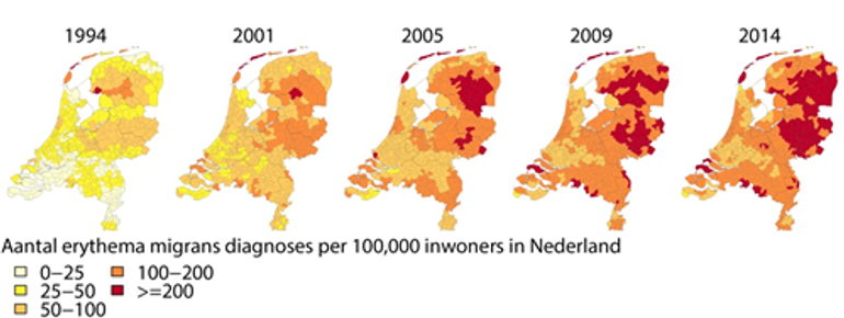 Het aantal mensen per 100 duizend inwoners die per jaar een rode vlek of ring oplopen per gemeente in de jaren 1994, 2001, 2005, 2009 en 2014.