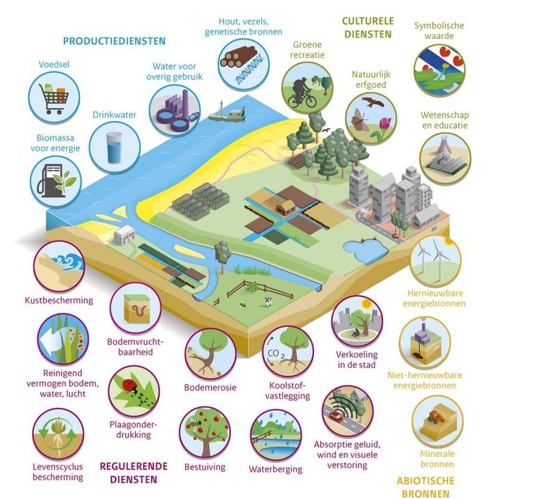 Ecosysteemdiensten