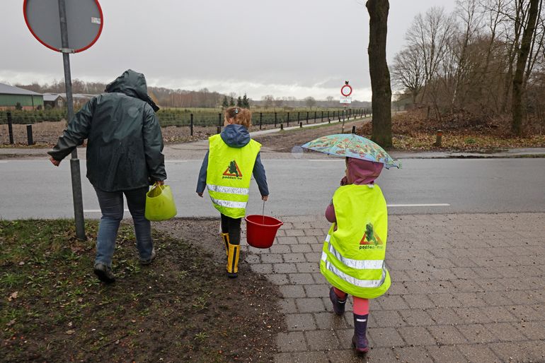 Kikkers vervoeren in Alverna, met een amfibieënwerkgroep bij Natuur Wijchen