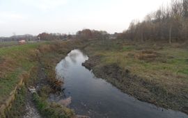Geleenbeek. Voorbeeld van een meanderende beek met voldoende begeleidende groenstructuren voor vleermuizen