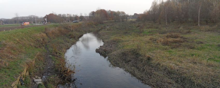 Geleenbeek. Voorbeeld van een meanderende beek met voldoende begeleidende groenstructuren voor vleermuizen