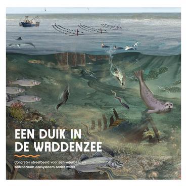 Brochure 'Een duik in de Waddenzee'