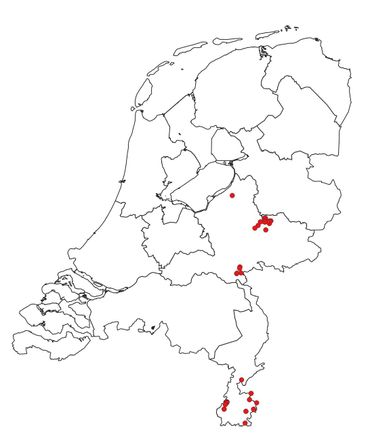 Bsal is aangetoond in de zuidelijke helft van Limburg, en in de omgeving van Nijmegen en Zutphen-Voorst. De aanwezigheid op de noordelijke Veluwe dient bevestigd te worden