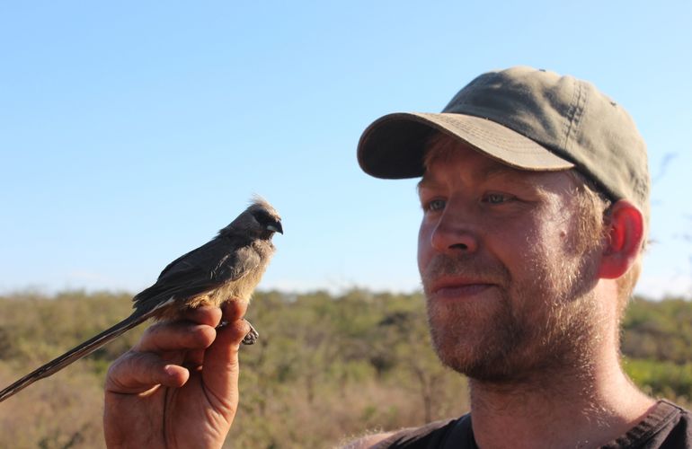 Sjouke Kingma met een gestreepte muisvogel