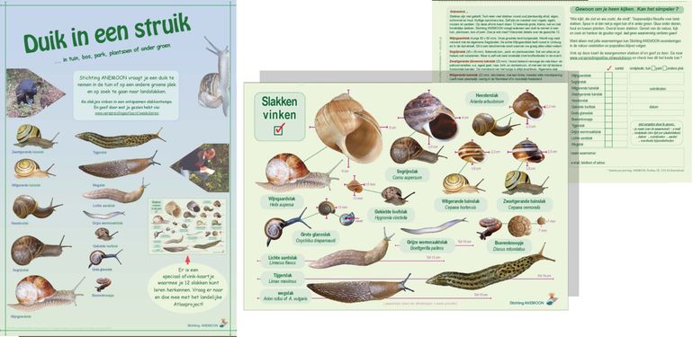 Links: poster, rechts info- en afvinkkaartje van het project 'Duik in een struik'