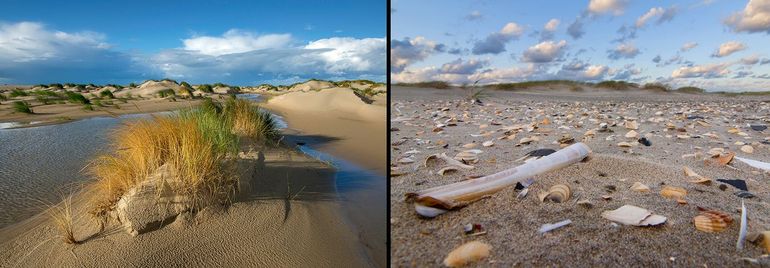 Een natuurlijk strand met duinvorming, waar vogels kunnen broeden tussen schelpenmateriaal. Voedingsstoffen uit niet-opgeruimd natuurlijk aanspoelsel verrijken het unieke strand-ecosysteem
