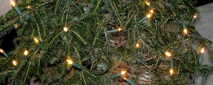 Kerstboom met lichtjes - primair