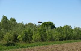 Akker en voedselbos Ketelbroek juni 2023