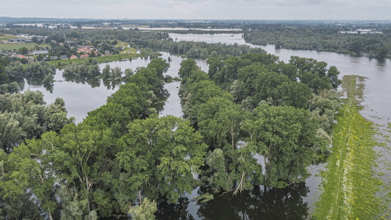 Door klimaatverandering krijgen we in de toekomst vaker te maken met laag water in de zomer en (heel) hoog water in de rest van het jaar